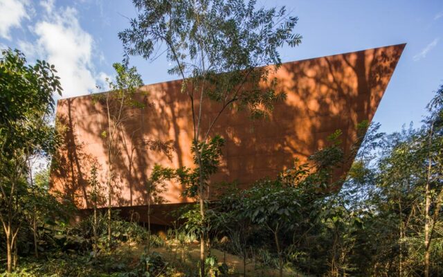 Miguel Rio Branco Gallery